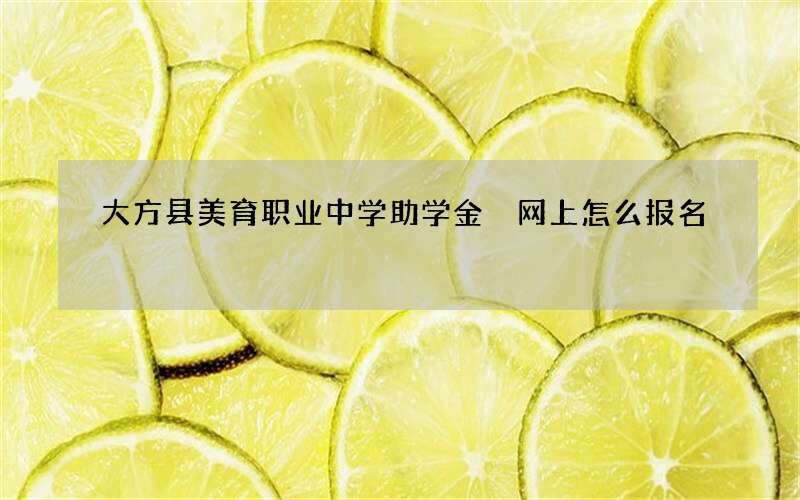 大方县美育职业中学助学金 网上怎么报名